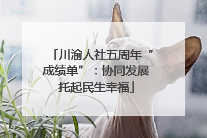 川渝人社五周年“成绩单”：协同发展托起民生幸福
